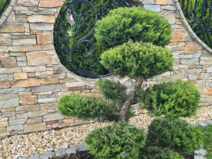 Kamień Elewacyjny - Panele 16PM RUSTIC 11 – Hurtownia Kamienia El-Pol